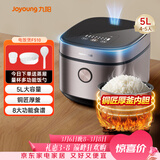 九阳（Joyoung）5升大容量4~5人电饭煲电饭锅八大烹饪菜单大火快煮智能预约微压多功能5L饭煲F510