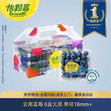 怡颗莓Driscoll's 云南蓝莓Jumbo大果18mm+ 6盒125g/盒新鲜水果礼盒