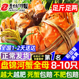 【活蟹】网兜蟹辽宁盘锦河蟹稻田河蟹礼盒螃蟹鲜活大闸蟹无绳净重 【满黄】全母蟹丨1.0-1.3两【8-10只】