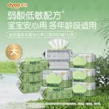 多优（Dyoo）宝宝婴幼儿手口湿巾湿纸巾儿童加厚柔湿巾便携无酒精角鲨烷家庭装 温泉水系列【整箱装】 80抽*12包 150mm*200mm
