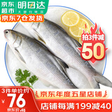 哆鲜生 海捕活冻马友鱼 午笋鱼马鲅鱼三去除脏1斤 鲜活冷冻鱼类 大号 2条/袋 净重500g