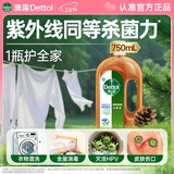 滴露（Dettol）消毒液洗衣衣物消毒水750mL 除螨杀菌混洗无忧 家居地板消毒 非84