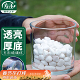 寿禾 水培玻璃杯花盆加厚透明植物插花容器 10*10cm圆形水培玻璃瓶