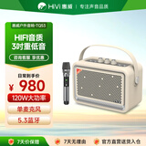 惠威（HiVi）高品质复古蓝牙便携音箱桌面音响户外音响家用室内k歌麦克风音箱一体机  送朋友生日礼物 TQ53白色