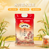 十月稻田磨米世家东北大米5kg