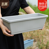 北蔬 霍伦盆长方形种菜种花盆带托加厚有韧性大花盆 灰白色霍伦盆1个