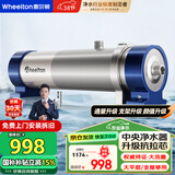 惠尔顿（WHEELTON） 全屋中央净水器系统家用厨下净水器前置过滤器自来水农村井水大流量管道超滤机别墅小区房车商用 UF4大平层/全屋够用6000L