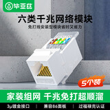 毕亚兹 六类网络模块 CAT6千兆免打模块 RJ45水晶头母座网线口电脑插座免打线钳刀90°兼容86型面板5个装