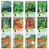 花沃里12款蔬菜种子 黄瓜西红柿草莓香菜薄荷生菜辣椒白菜菠菜香葱种籽