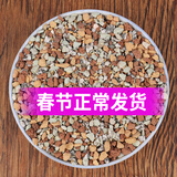 德沃多多肉土颗粒植物土壤种植基质铺面石盆栽养花绿萝兰花通用型营养土 虹彩石5斤