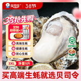 贝司令鲜活乳山生态生蚝3XL 净重9斤 23-32只 生鲜源头直发露营聚会