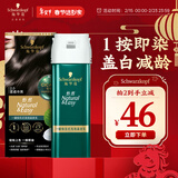 施华蔻（Schwarzkopf）怡然一按染泡泡染发乳2.0雾感冷黑 染发剂男女多次盖白 热门商品