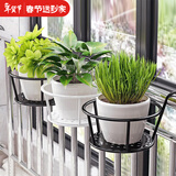 索尔诺（SuoErnuo）悬挂花架阳台铁艺简约悬挂花架挂架 多肉绿萝架装饰挂架 一只装-黑色【托底直径18*上环直径22】