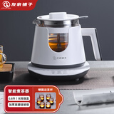 友家铺子（Biooner）煮茶器喷淋式煮茶壶蒸汽式黑茶壶办公室家用烧水壶 迷你养生壶花茶壶 白色智能款（方形把手） 0.8L