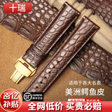 十瑞（SHIRUI）进口美洲鳄鱼皮表带男女适用于浪琴名匠天梭力洛克万国积家欧米茄卡地亚真皮手表带 棕色棕线【金色扣】 19mm