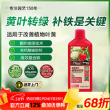 美乐棵园艺植物补铁剂花肥肥料改善叶黄植物营养液500ML