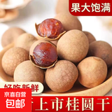 广西桂圆龙眼肉大桂圆莆田特产玉林特产桂圆干壳薄肉厚香甜干桂圆 500克