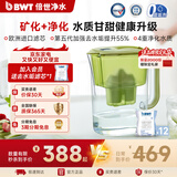 倍世（BWT）净水壶滤水壶净水器家用 欧洲去水垢滤芯 益家4.2L大容量 过滤水壶 厨房客厅通用  年会年货送礼 【去水垢滤芯】1壶12芯 绿色