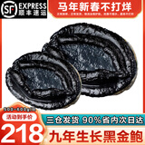 海泽鲜 新西兰黑金鲍 深海活捕大鲍鱼生鲜年货礼盒节日送礼黑金鲍鱼礼包 【黑金鲍1头】 500g(净重)  -600g