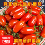 丹东409花生柿子圣女果小番茄蔬菜新鲜水果酸甜水果整箱批发 带箱约1斤