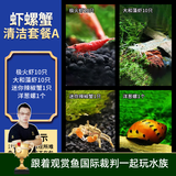 云峰海瑞鱼缸观赏虾活体虾鱼缸工具虾除藻活虾鱼缸除藻除藻虾黑壳虾五彩虾 虾螺蟹清洁套餐A（会生小虾 送尝鲜虾粮）