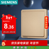 西门子（SIEMENS）开关面板 一开单控面板 致典日曜金5TA14113NC03