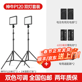 神牛（Godox） p120c摄影灯led补光灯便携单反相机摄像打光灯影视拍照婚庆常亮灯光 P120C双灯+适配器【送6000毫安电池*2】