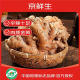 京鲜生云南罗平小黄姜 净重9斤 新姜生姜 新鲜现挖单果50g+ 源头直发