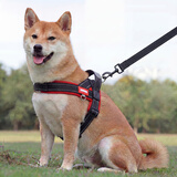 磊嘉狗绳狗链 柯基牵引绳防爆冲胸背带牵引绳中大型小型犬遛狗绳柴犬 黑红胸背带1个配狗绳1根 S（建议8-12斤）