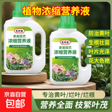 植物营养液通用型家用盆栽发财树富贵竹绿萝水培花卉绿植蔬菜肥料 通用营养液500ml×2瓶