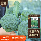 北蔬 西兰花种子种苗绿西蓝花椰菜青菜花蔬菜种籽 西兰花种子约500粒