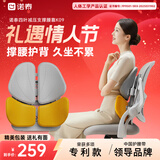 诺泰（nuotai）人体工学腰靠办公室久坐护腰坐垫神器汽车腰托靠背垫38节礼物K09