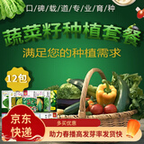凤鸣雅世 四季蔬菜种子都市菜园速生阳台农家庭院盆栽油菜菠菜芹菜香菜籽 12种蔬菜种子套餐