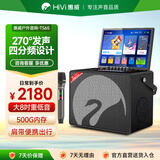 惠威（HiVi）广场舞音响带显示屏户外音响k歌专用带麦克风声卡一体机家庭ktv音响套装卡拉ok视频机大功率TS65