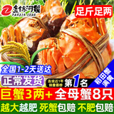 【活蟹】网兜蟹辽宁盘锦河蟹稻田河蟹礼盒螃蟹鲜活大闸蟹无绳净重 全母蟹丨3.0-3.3两【8只】镇店之宝