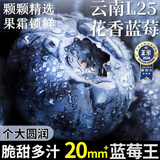 旭霁云南花香蓝莓【多地次日达】国产新鲜L25花香蓝莓水果生鲜送礼 罕见果王【单果20mm+】 2盒尝鲜装【100-125g/盒】