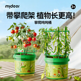 弥鹿（MiDeer）阳光房种植玩具小盆栽儿童小学生幼儿园植物观察窗六一儿童节礼物 【新品攀爬款】攀爬吨吨桶