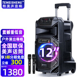 TEMEISHENG 特美声SL15-31广场舞户外移动大功率演出活动拓展主持15寸大音量音响k歌唱歌便携式蓝牙蓝牙音箱 12寸标配+2支无线话筒+大礼包