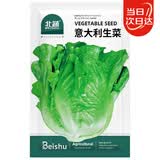 北蔬 意大利生菜种子苗四季速生阳台种菜籽 意大利生菜种子3g约1800粒