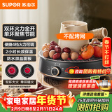 苏泊尔（SUPOR）迷你电陶炉 煮茶器煮茶炉煮茶壶 养生围炉煮茶泡茶办公家用不挑器具SW-DTL05