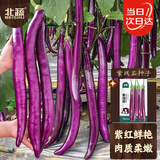 北蔬线茄茄子种子苗长茄杭茄春季家庭盆栽种蔬菜种籽 紫线茄种子400粒
