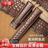 十瑞（SHIRUI）进口美洲鳄鱼皮表带男女适用于浪琴名匠天梭力洛克万国积家欧米茄卡地亚真皮手表带 棕色棕线【无扣款】 20mm