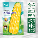 寿禾 超甜水果玉米种子大全紫糯黑甜糯可生食粘甜种孑秋冬季寿光蔬菜 [老品国审]苏科甜1506种子500g