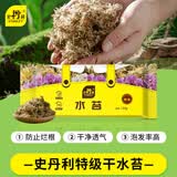 史丹利特级干水苔150g 蝴蝶兰专用营养土兰花文心兰干苔藓爬宠乌龟垫材