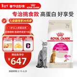 皇家成猫猫粮 肠道舒适 EP42通用粮12月以上10KG