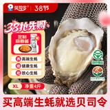 贝司令鲜活乳山生态生蚝XL 净重4斤 16-22只 生鲜源头直发露营聚会