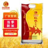 金凤凰玉竹 大米 粳米 新鲜大米 真空包装 圆粒 正宗黑龙江东北大米10斤大米 红枫东北米 5kg*1袋