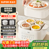 苏泊尔（SUPOR）电炖盅电炖锅隔水炖家用全自动煲汤炖汤锅陶瓷燕窝炖盅4.5L蒸炖一体多功能锅3-4人 DZ25FC873