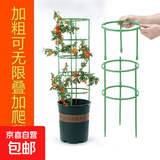 植物支撑杆爬藤架工具植物支架通用型花架拼接园艺兰花阳台花架子 自由组装（可拼5层）30根 材料厚实  经久耐用