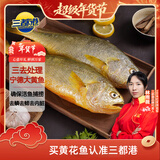 三都港 冷冻三去黄花鱼2斤/2条装 宁德大黄鱼 生鲜鱼类 海鲜 年货